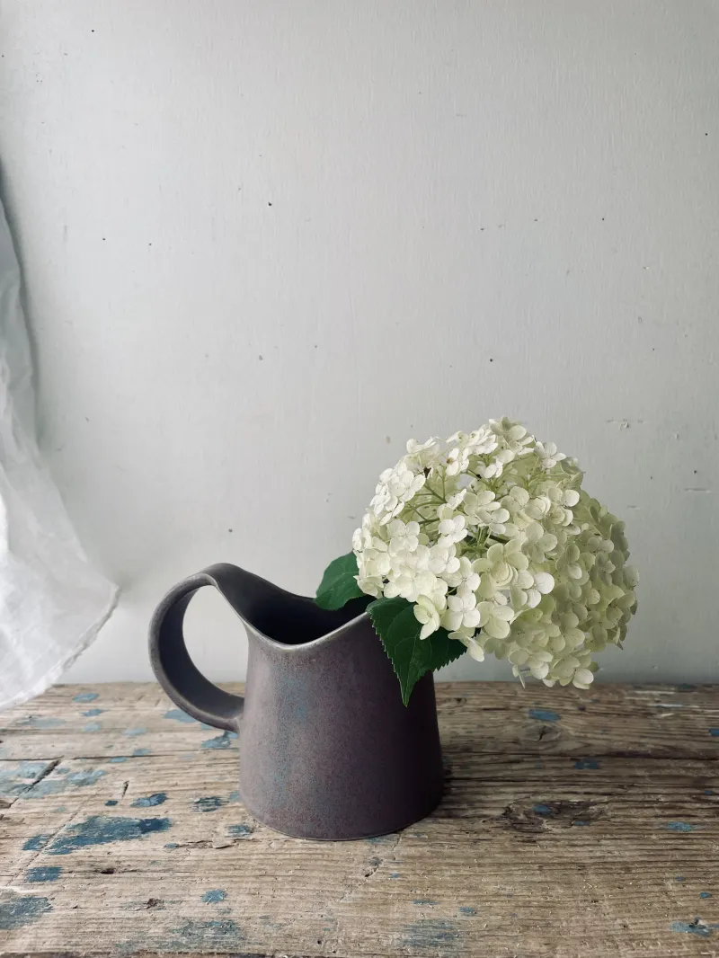 トタンを模した色合いに、草花がよく似合うピッチャーです。