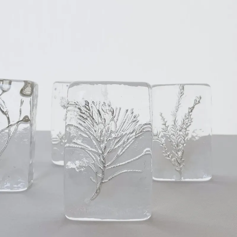 植物のシルエットを光の変化とともに、様々な表情をご覧ください。