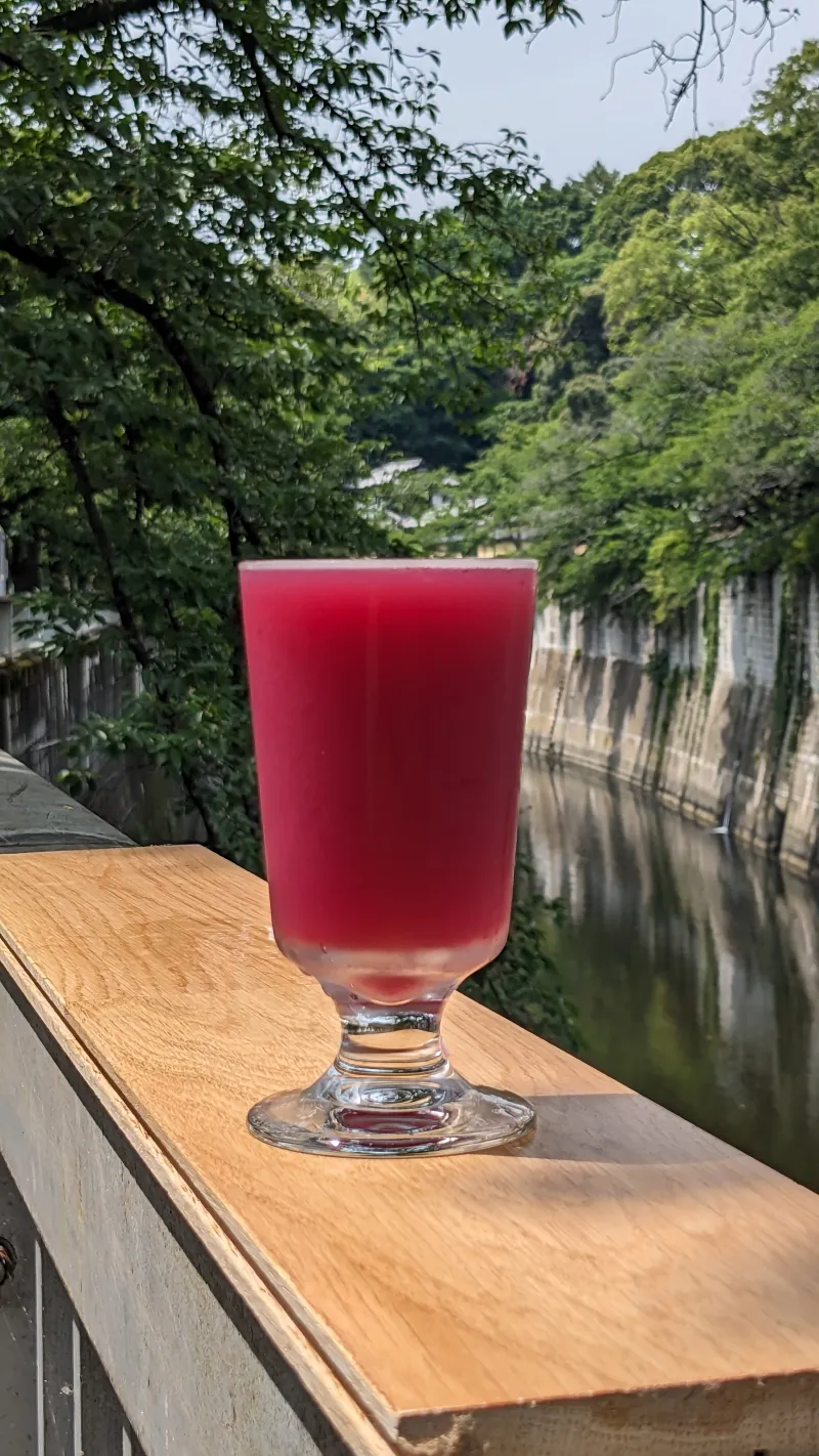 「彩坂 Blueberry Sour」鮮やかな紫色、ブルーベリーの果実感とほどよい酸味。軽めのフルーツサワービール！