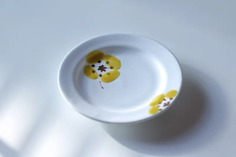 ぷっくり、ツヤのある色絵のお皿。ぜひ手に取って質感をご覧ください。
