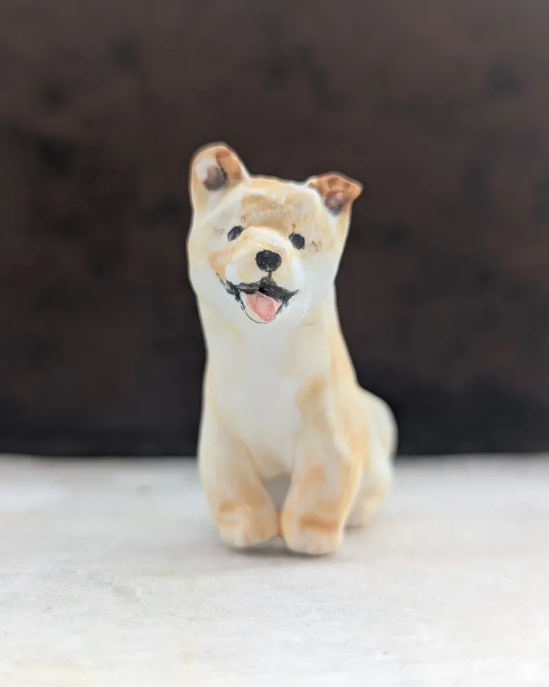 柴犬のこども
もっと遊ぼうよ！と笑顔です