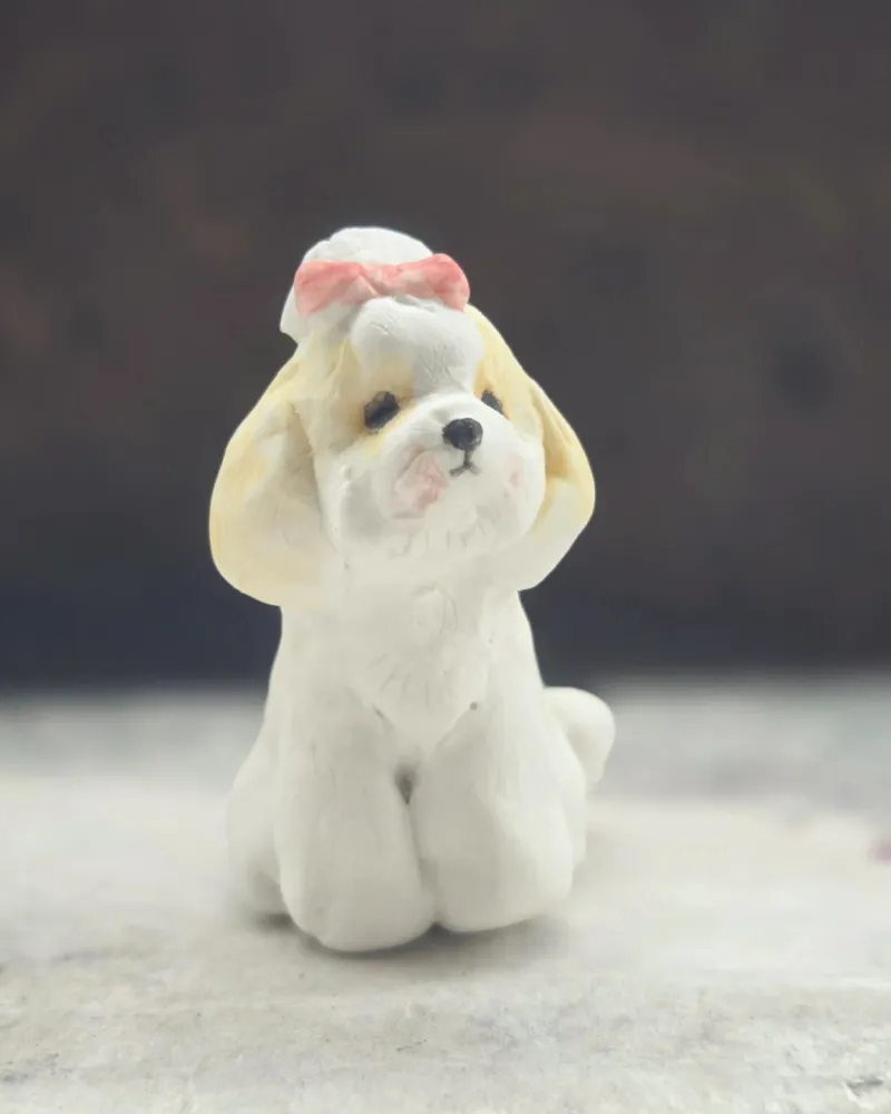 リボンをしたシーズー
リボンがよく似合っています！