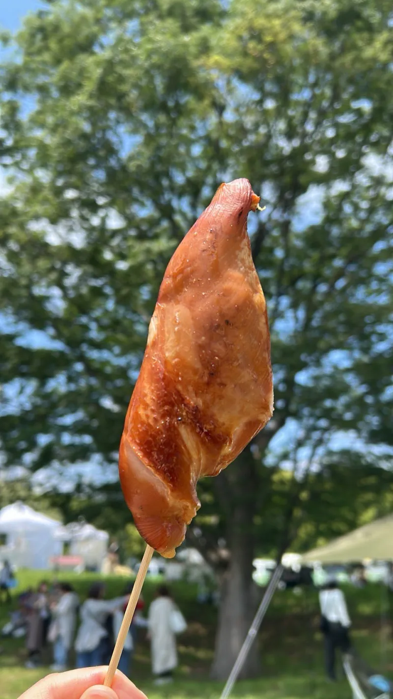 鳥取県産大山鶏胸肉で作るスモークチキン