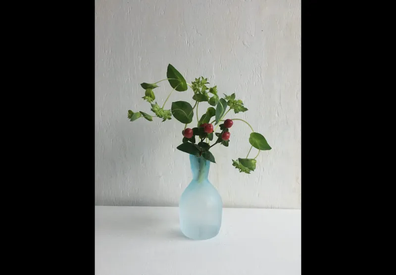 瓶に植物をいけてみる。