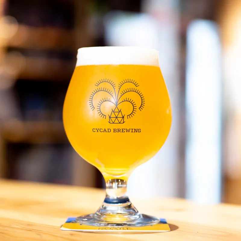 CYCAD BREWING