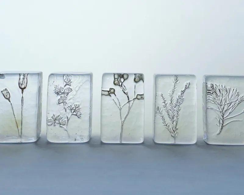 glass＋